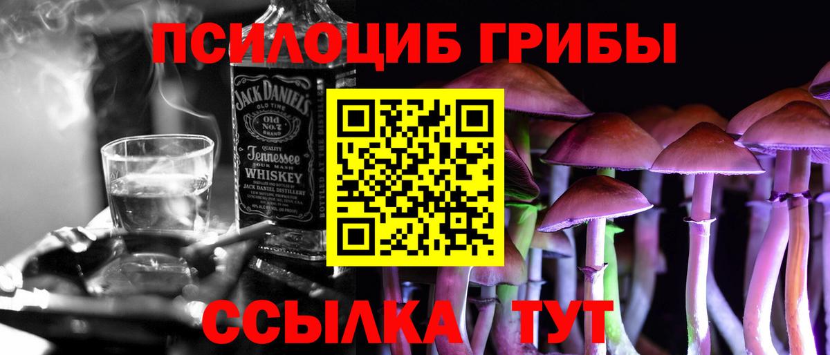 Псилоцибиновые грибы мицелий Канск